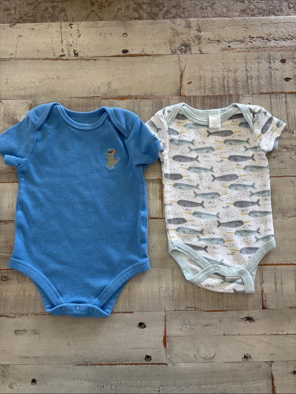 Carter’s 11 Piece Bundle of 3-6 Months Baby Boy Clothes